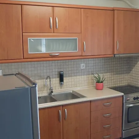 公寓 Elata 萨索斯