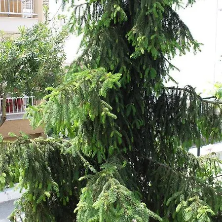 Elata 公寓 萨索斯