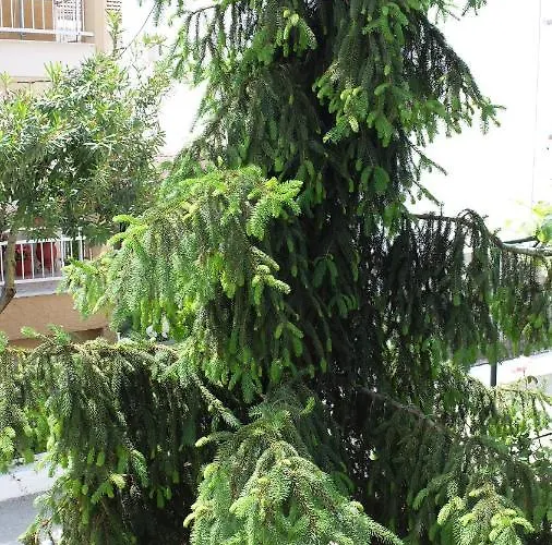 Elata Apartament Limenas (Thasos)